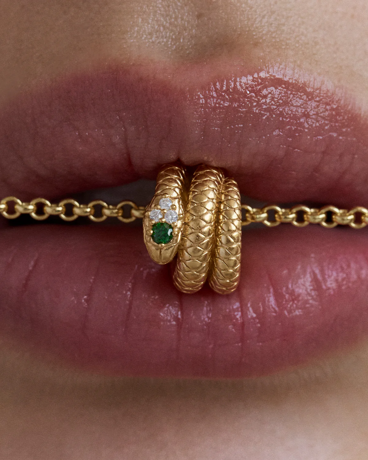 18k Gold Vermeil Snake Petal Charm - Image 6